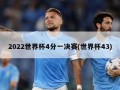 2022世界杯4分一决赛(世界杯43)