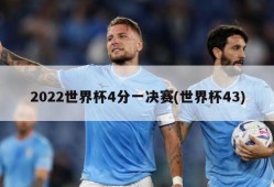 2022世界杯4分一决赛(世界杯43)