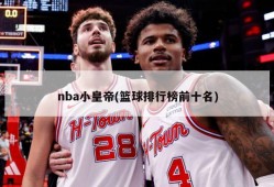 nba小皇帝(篮球排行榜前十名)