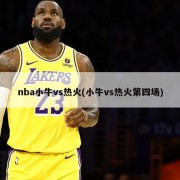 nba小牛vs热火(小牛vs热火第四场)