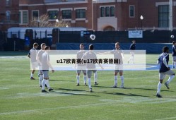 u17欧青赛(u17欧青赛德国)