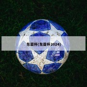 东亚杯(东亚杯2024)