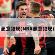 恶意犯规(NBA恶意犯规)