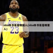 nba林书豪是哪国人(nba林书豪是哪里人)