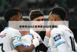 世界杯2022(世界杯2022年赛程)